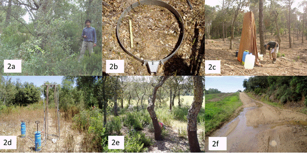 Runoff and erosion generation by simulated rainfall in a Mediterranean ...