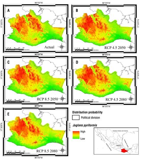 Climate change and impact on distribution of tree species in the cloud ...