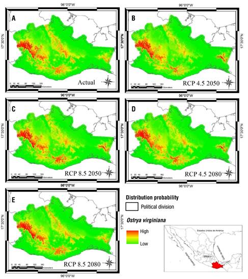 Climate change and impact on distribution of tree species in the cloud ...