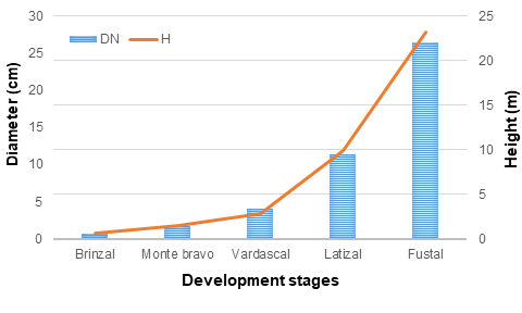 Carbon storage during the development stages of Pinus patula Schiede ex ...