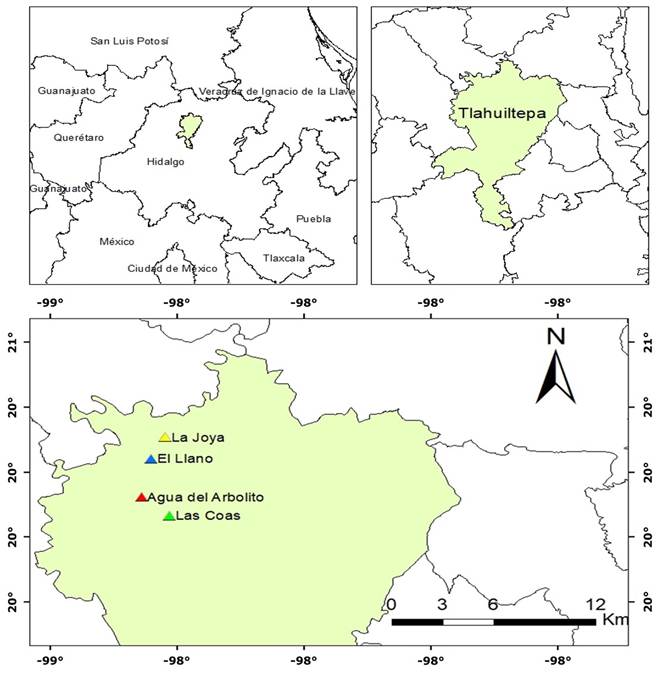 
								Geographic location of Dalbergia
										palo-escrito Rzed. & Guridi-Gómez natural
									populations in Tlahuiltepa,
										Hidalgo state, Mexico.
							