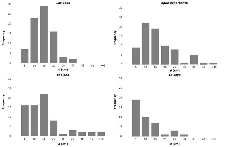 
								Diameter distribution in four Dalbergia
										palo-escrito Rzed. & Guridi-Gómez natural
									populations in Tlahuiltepa municipality,
										Hidalgo state, Mexico.
							