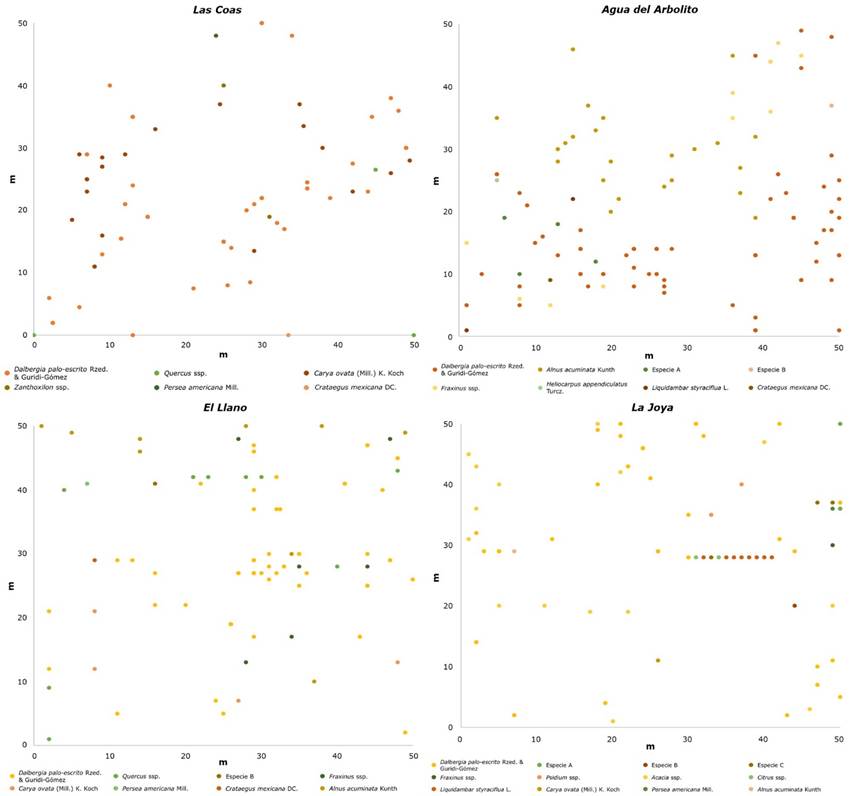 
								Spatial distribution of trees Dalbergia
										palo-escrito Rzed. & Guridi-Gómez in natural
									populations in Tlahuiltepa municipality,
										Hidalgo state, Mexico.
							