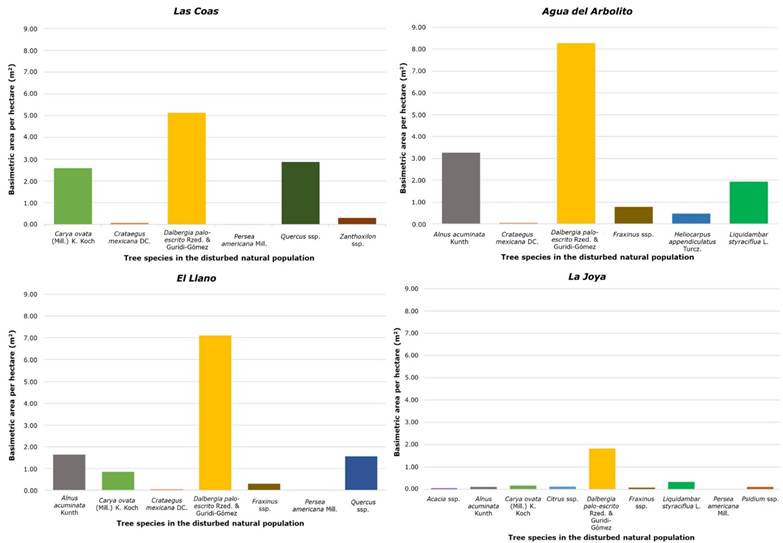 
								Basal area distribution of tree species in four
										Dalbergia palo-escrito Rzed. &
									Guridi-Gómez natural populations in Tlahuiltepa
									municipality, Hidalgo state, Mexico.
							