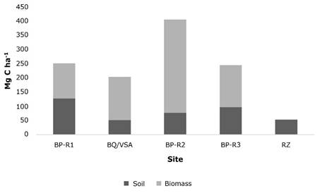 
								Comparison of carbon stores in tree biomass vs. soil, El Ocotal State Park, Estado de México, Mexico.
							