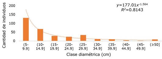 
						Cantidad de individuos conforme al diámetro (cm).
					