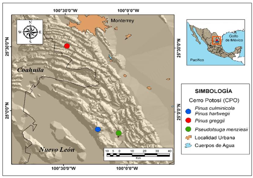 Comportamiento hidroclimático de coníferas en el Cerro Potosí, Nuevo ...