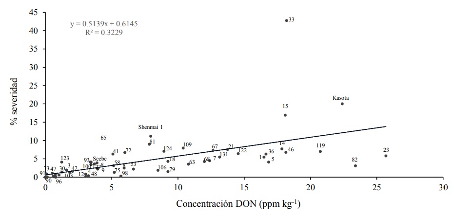 Evaluación de líneas de cebada maltera a fusariosis de la espiga y ...