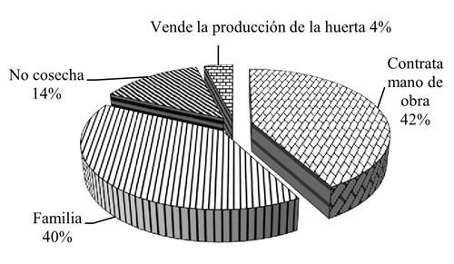 Producción y comercialización del mamey en Alpoyeca, Guerrero: opinión