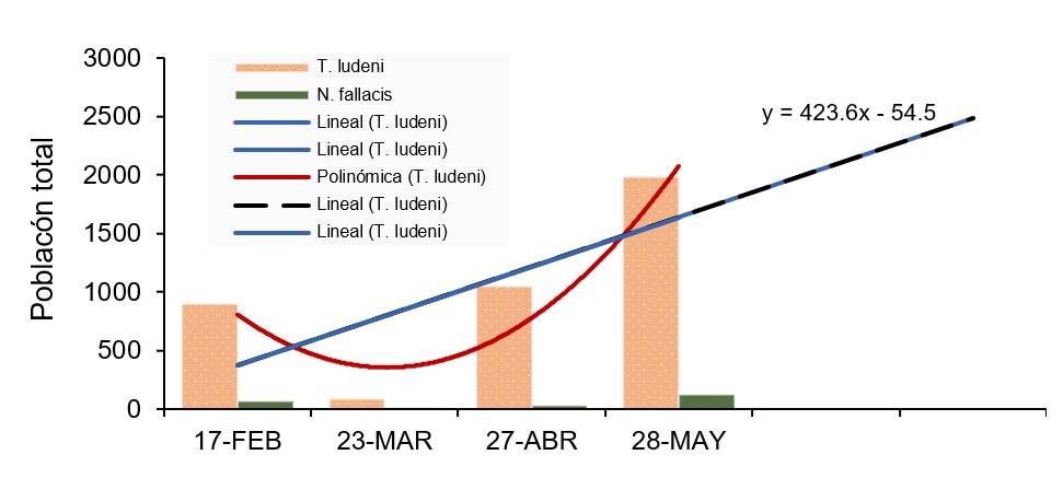 
								Total population of Tetranychus ludeni
										and Neoseiulus fallacis. Sampling 2
									after pesticide application) by sampling, exponential trend
									curve (blue), and linear extrapolated potential curve (dashed
									blue-black).
							
