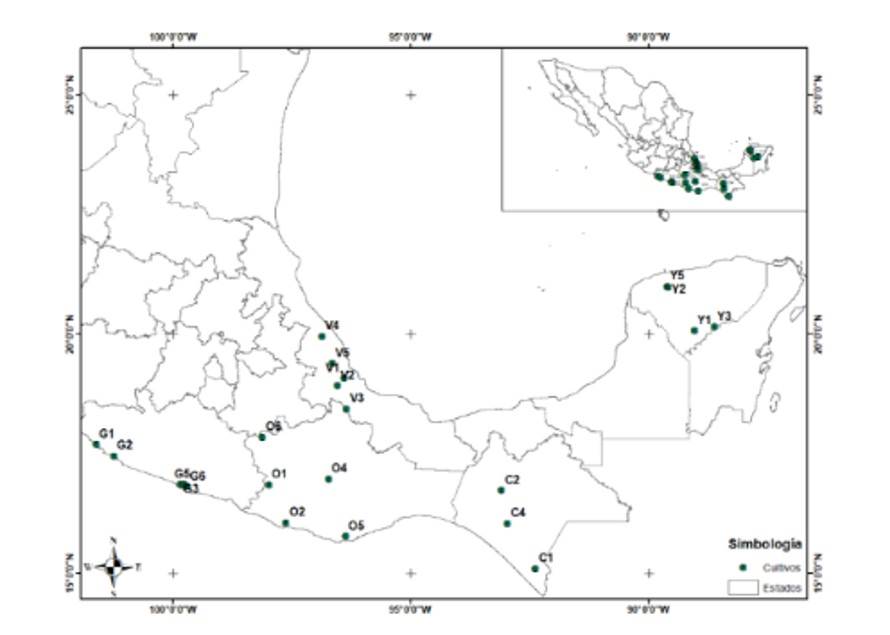 
								Geographical location of the evaluated commercial moringa crops in the south-southeast of Mexico.
							