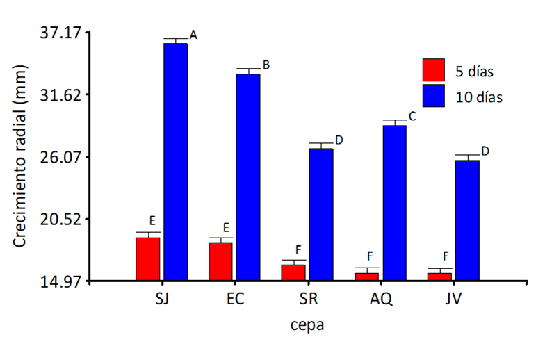
							Radial growth (mm) of Simplicillium sp. strains. Means with the same letter do not differ statistically (LSD= 0.05). SJ= San Juan Norte strain; EC= CATIE; SR= Santa Rosa; AQ= Aquiáres; JV= Jabillos.
						