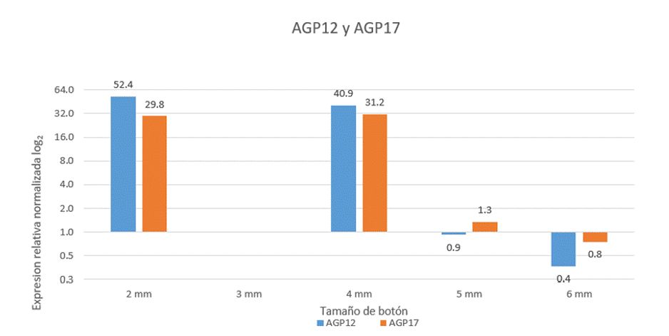 
								Comparison of the relative expression of the AGP12 and AGP17
									genes. During gametophyte development.
							