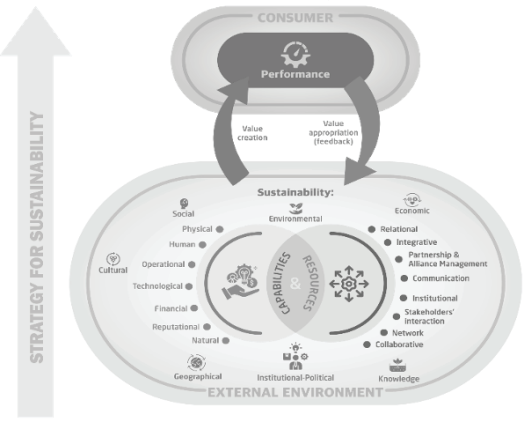Strategies for sustainability in the context of the creative (bio ...