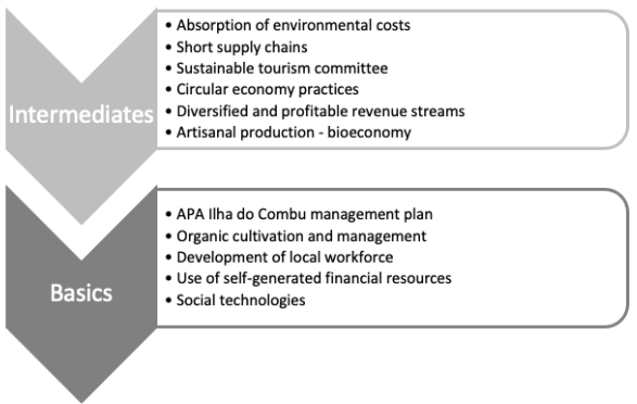 Strategies for sustainability in the context of the creative (bio ...
