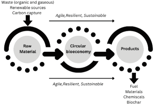 The Concept of Circular Bioeconomy: Origin, Evolution and Perspectives ...