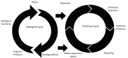 The Concept of Circular Bioeconomy: Origin, Evolution and Perspectives ...