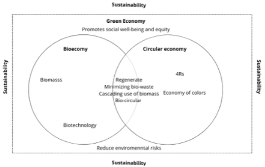 The Concept of Circular Bioeconomy: Origin, Evolution and Perspectives ...