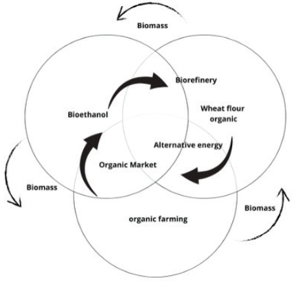 The Concept of Circular Bioeconomy: Origin, Evolution and Perspectives ...