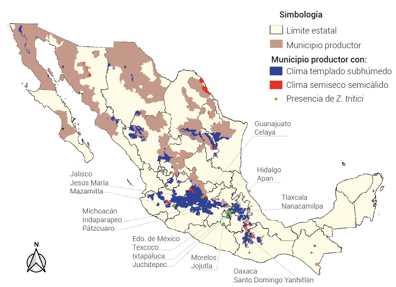 Situación actual de la mancha foliar del trigo causada por Zymoseptoria ...