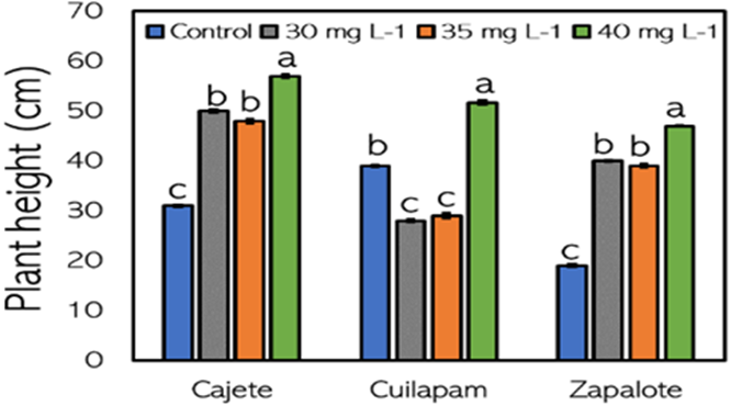 Humic acids effects on plant growth and protection against water stress ...