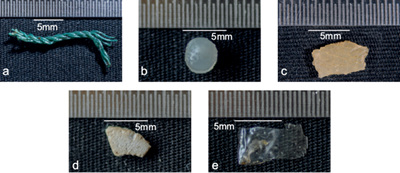 METHOD FOR QUANTIFYING AND CHARACTERIZATION OF MICROPLASTICS IN SAND ...