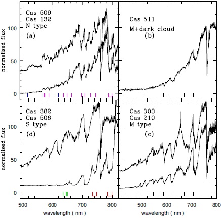 AGB Candidates in the field of γ CAS