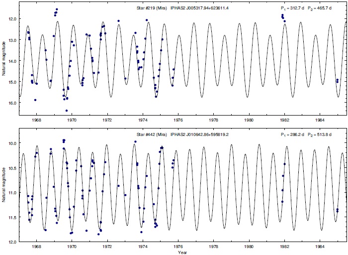 AGB Candidates in the field of γ CAS