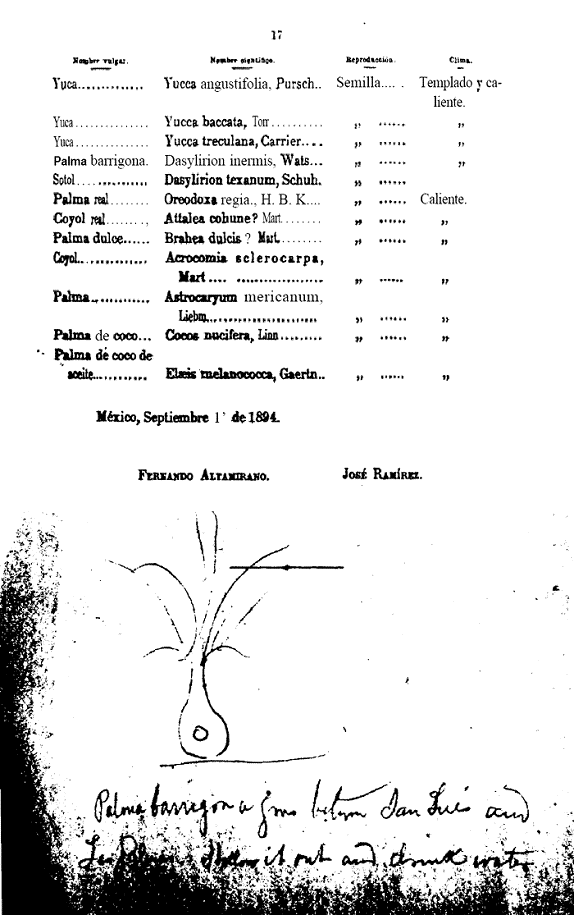 La Lista de nombres vulgares y botánicos de árboles y arbustos propicios  para repoblar los bosques de la República de Fernando Altamirano y José  Ramírez a más de 110 años de su