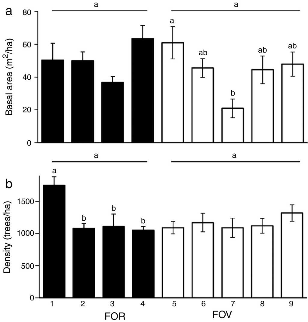 Cloud Forests On Rock Outcrop And Volcanic Soil Differ In Indicator