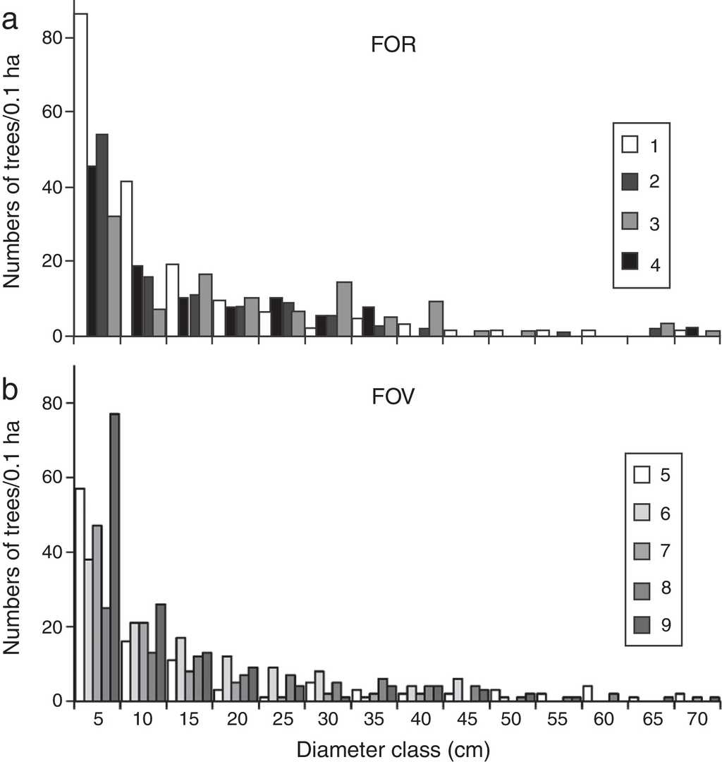 Cloud forests on rock outcrop and volcanic soil differ in indicator ...
