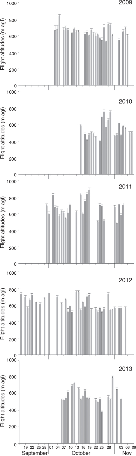 Patterns of nocturnal bird migration in southern Mexico
