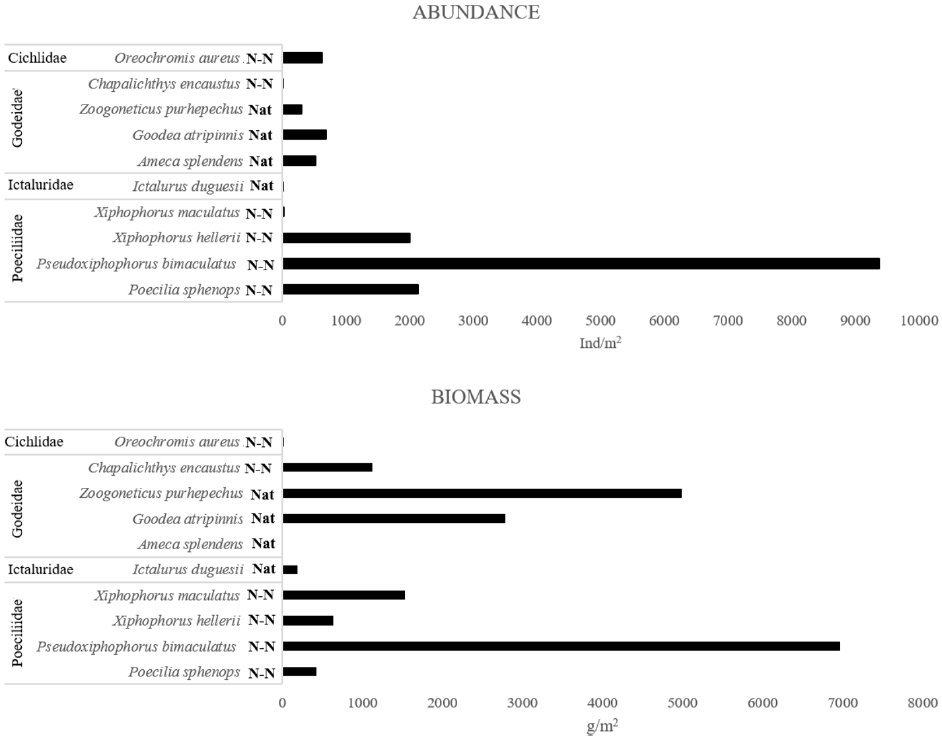 Spatial and temporal variation of fish assemblage structure in a ...