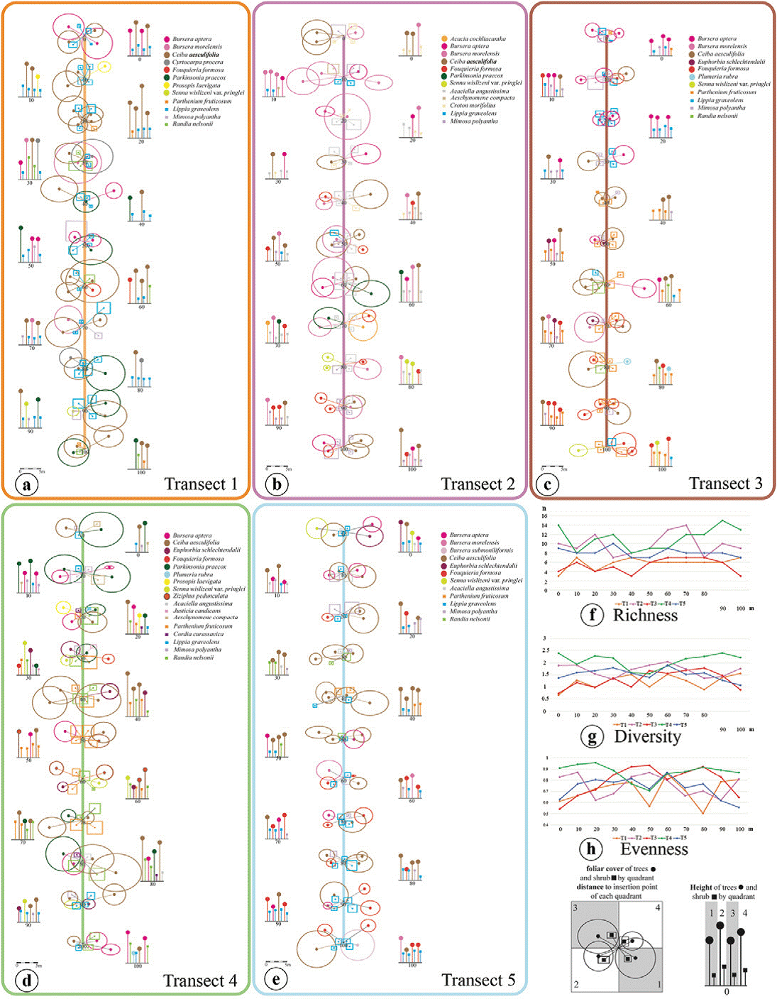 Composition, structure and diversity of tree and shrub strata in a ...
