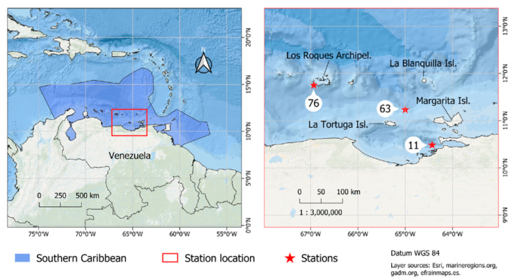 Pelagic copepod diversity (Crustacea: Copepoda) in the Southern Caribbean:  evidence of a pending assignment - Revista Mexicana de Biodiversidad