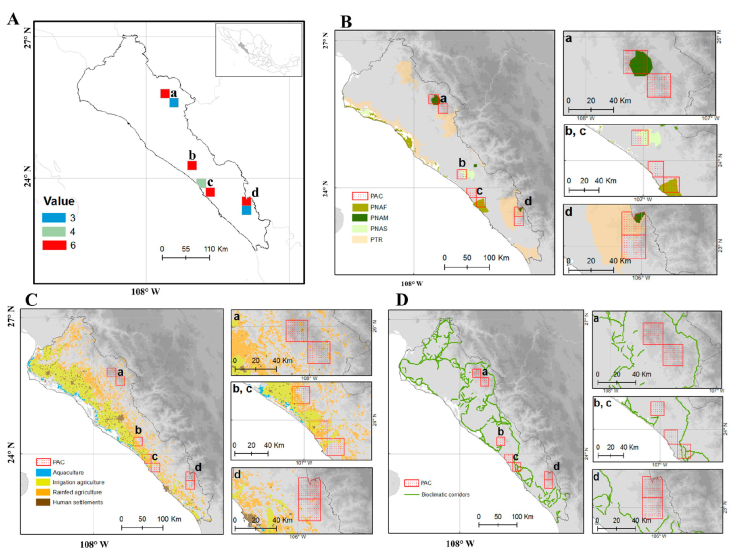 Priority areas for conservation based on endemic vascular plant species ...