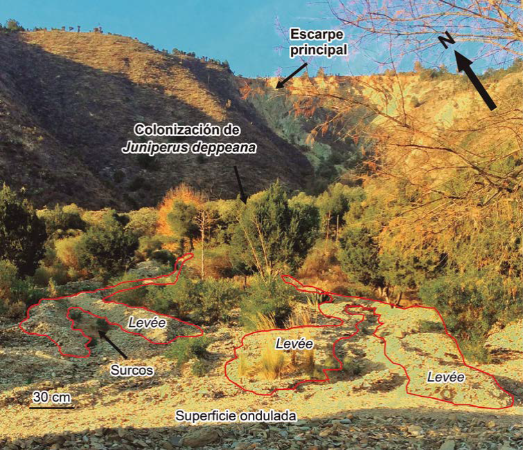 Análisis de flujos de escombros desde un enfoque dendrocronológico en ...