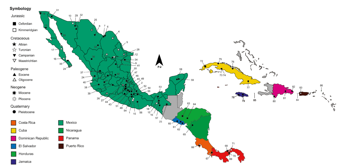 The fossil record of turtles and tortoises (Testudines) of Mexico ...