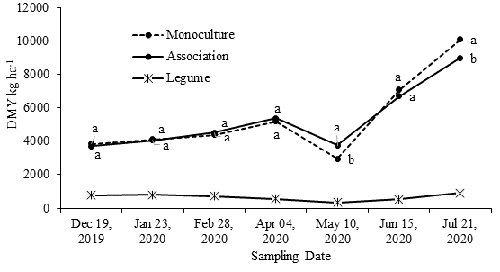 
								Dry matter yield (DMY) of a Mombasa pasture in monoculture, Mombasa in association with kudzu, and kudzu separately, at the regrowth age of 42 days after grazing at different sampling dates
							