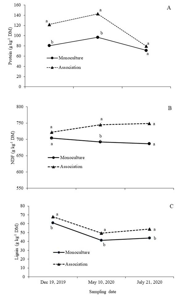 
								Concentration of protein, neutral detergent fiber (NDF), and lignin of a mombasa pasture in monoculture, and of the mombasa + kudzu association, at the regrowth age of 42 days after grazing in three sampling dates, representative of the north winds season (Dec 19, 2019), dry (May 10, 2020) and rainy (Jul 21, 2020) seasons
							