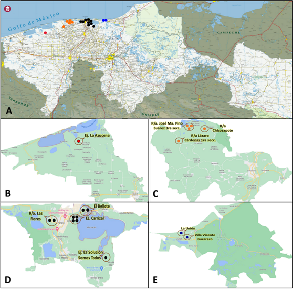 
					A)Ubicación de las localidades donde se colectaron las muestras de miel en la costa del estado de Tabasco (Modificado de SOTOP, 2019), B) Cárdenas, C) Comalcalco, D) Paraíso, E) Centla.
				