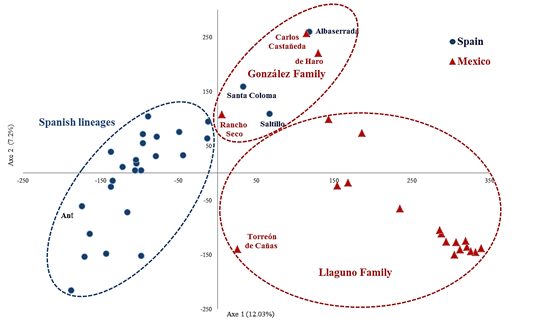 Genetic diversity analysis of the Mexican Lidia bovine breed population ...