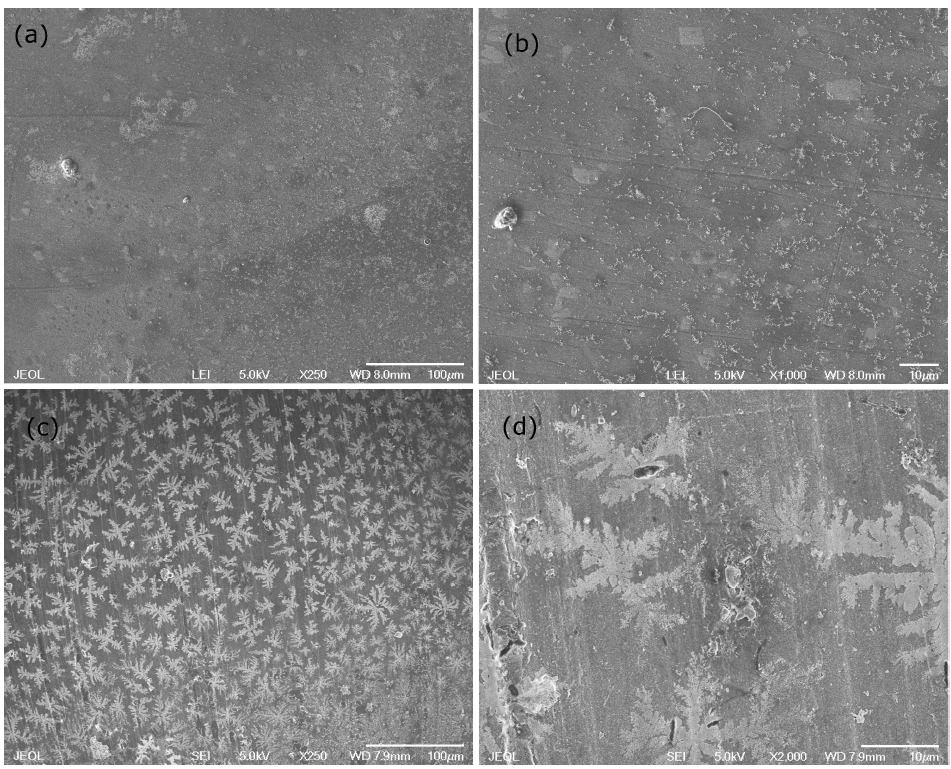Preparation, optical characterization and stability of gold ...