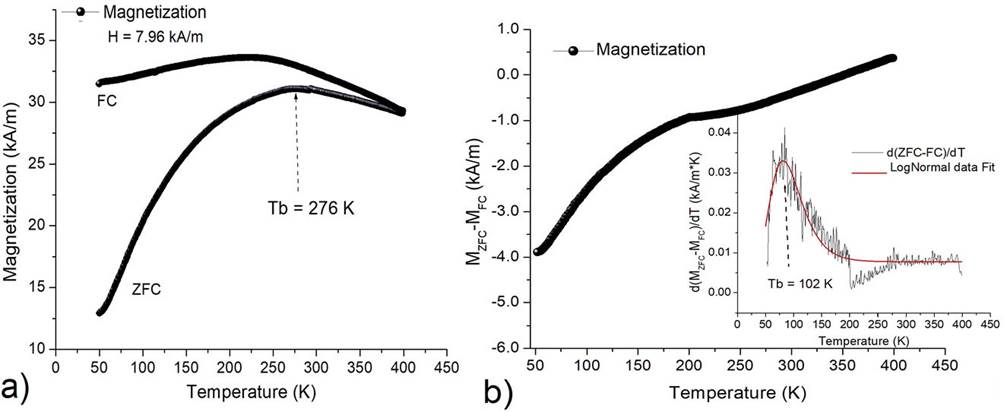 Analysis of the magnetic properties of core-shell iron oxide nanoparticles