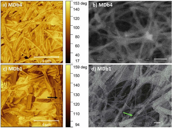 Effect of Ce3+ on the morphology, composition, and thermal properties ...