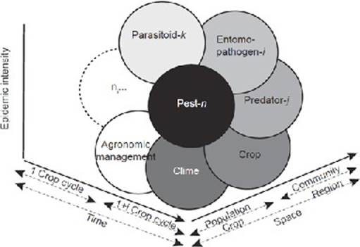 
								Epidemiological System defined by the interaction of factors that determine an epidemic process: pest species, entomopathogen, predator, and parasitoid, crop, agronomic management, climate, and any other specific factor (ni), all of which operate at different spatial-temporal levels (Adapted from Mora-Aguilera et al., 2017).
							