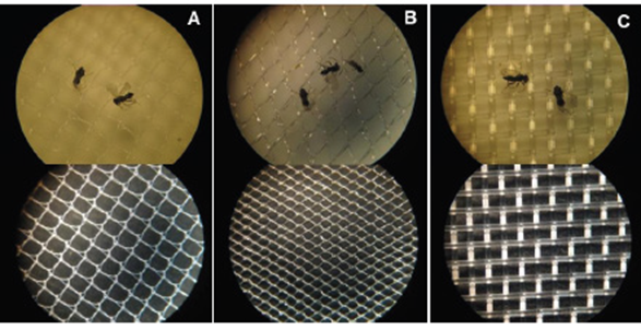 
								Different types of mesh evaluated in the selective emergence of Tamarixia triozae, parasitoid of Bactericera cockerelli as a model to be implemented with D. citri and its parasitoid. A) 700 x 700 μm, B) 700 x 900 μm, and C) 500 μm mesh.
							