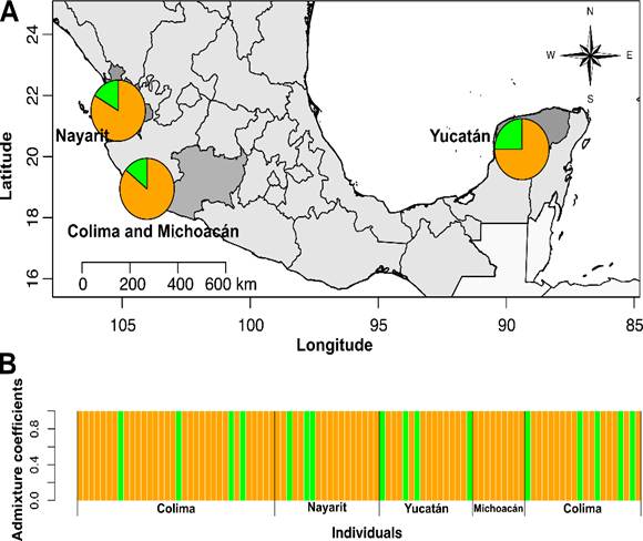 
							Genetic structure analysis of Fusarium oxysporum
								isolates from different locations based on sparse nonnegative matrix
								factorization (sNMF). (A) Population structure for K = 2 plotted on
								the map using the average ancestry coefficient values for each
								estimated population. (B) Group assignment probability of each
								sampled individual.
						