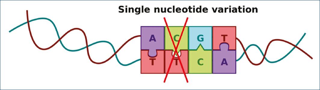 Genomic studies in epilepsy