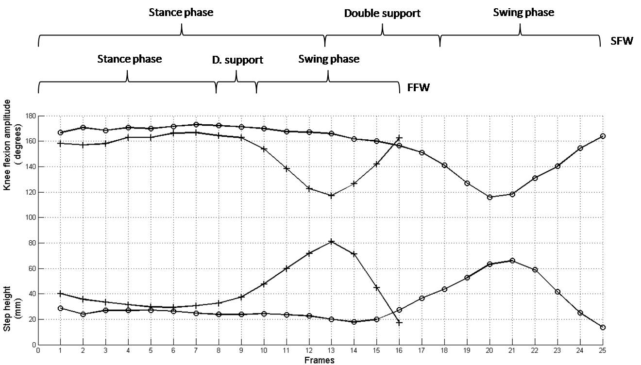 Analysis of the kinematic variation of human gait under different ...